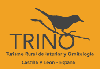 trino